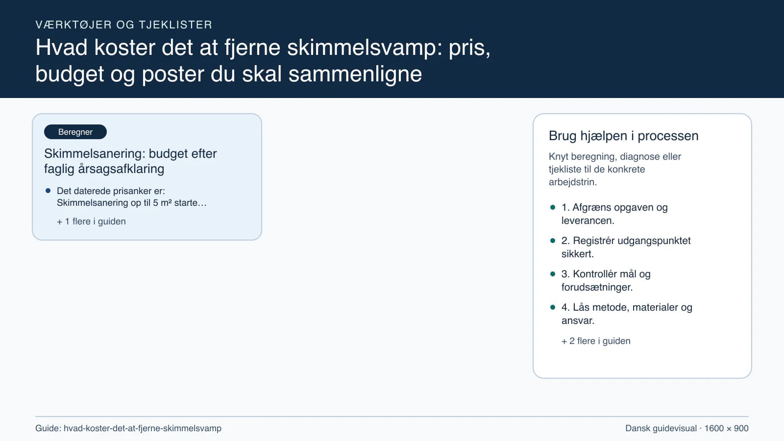 Værktøjsoversigt til “Skimmelsanering: budget efter faglig årsagsafklaring”.